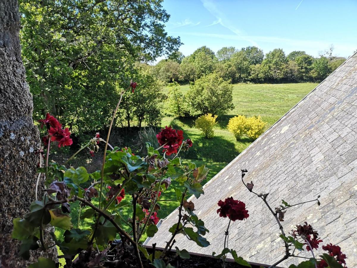 Manoir De La Foulerie Bed & Breakfast Ancteville Luaran gambar
